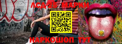 винт Кандалакша