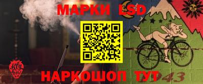 mdpv Канаш