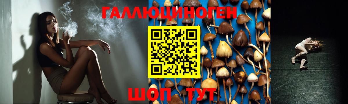 Псилоцибиновые грибы Cubensis  Галлюциногенные грибы ЛСД  Волоколамск  Вход с VPN 